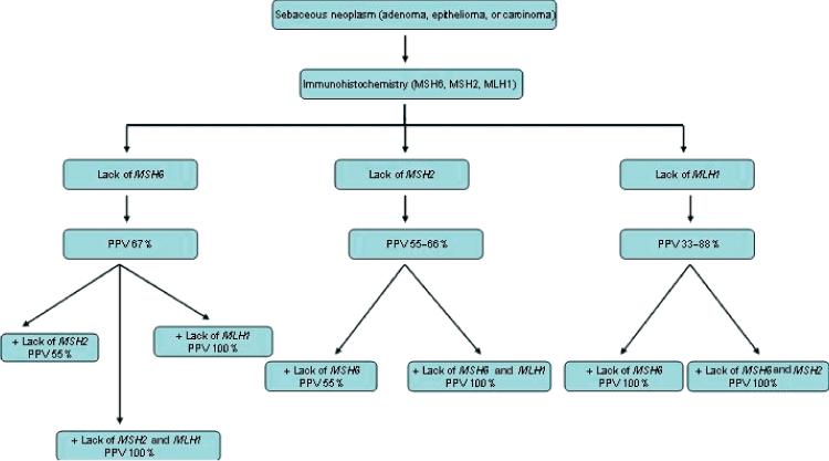 Sebaceous neoplasms and associated syndromes Cutaneous sebaceous neoplasms as markers of Muir Torre syndrome: a diagnostic algorithm Journal of Cutaneous Pathology