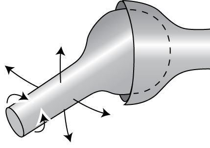 movement A rounded bone is fitted into a