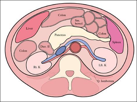 Overview: CT Retroperitoneal Anatomy Source: Corl, F.