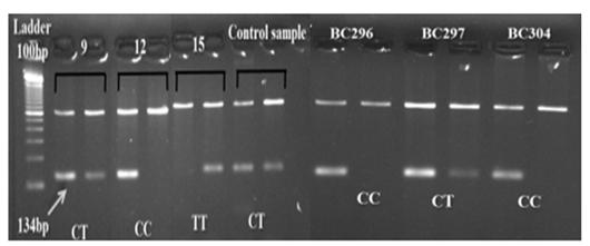 166 NGUYEN THI HUE, LE NGOC YEN AND TRAN BAO NGOC Fig. 5. Genotyping result for mutation rs3741378 of SIPA1 gene in the Control group (healthy individuals) and in the Breast Cancer group (patients).