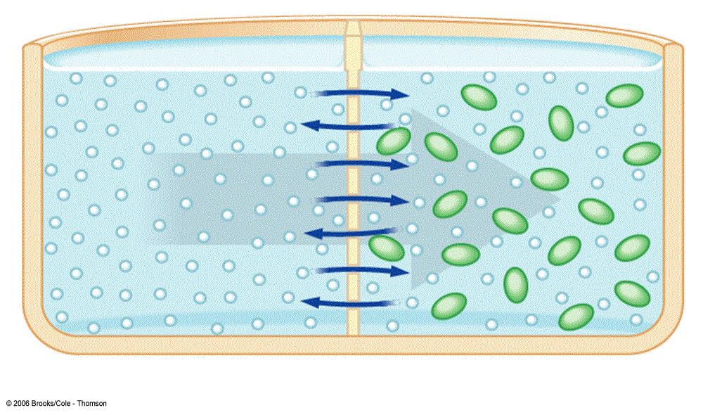 Osmosis Diffusion of molecules across a selectively permeable membrane Direction of net flow is determined by water
