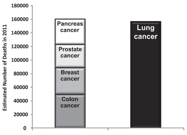 Epidemiology Lung Cancer Estimated deaths compared with colon, breast,