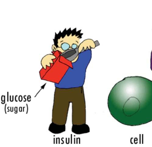 Patients with High-Dose Insulin Requirements Typically defined