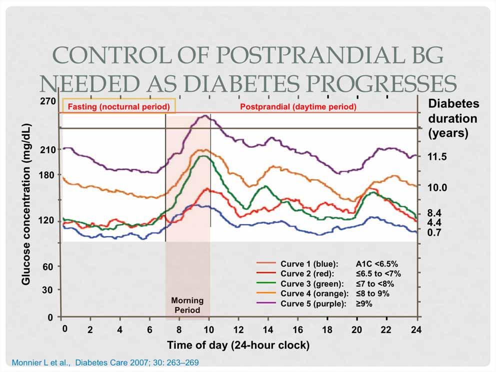 , Diabetes Care 2007; 30: 263 269 Postprandial (daytime period) Curve 1 (blue): A1C <6.5% Curve 2 (red): 6.