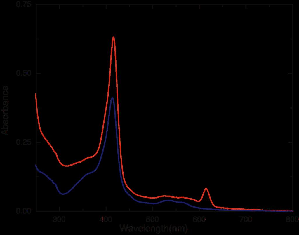 Supplementary Figure 11: Absorption spectra of maquette C (3.