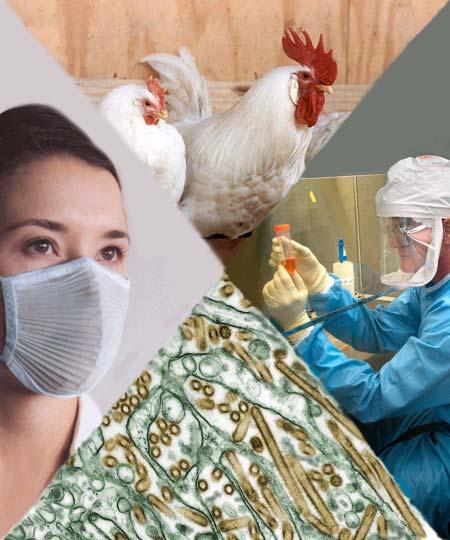 Business Preparedness Guide for Pandemic Flu Tarrant