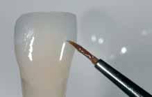 Thin the material to the desired consistency using IPS Empress Universal Glaze and Stain Liquid.