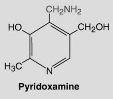 Pyridoxamine: Same source as pyridoxal.