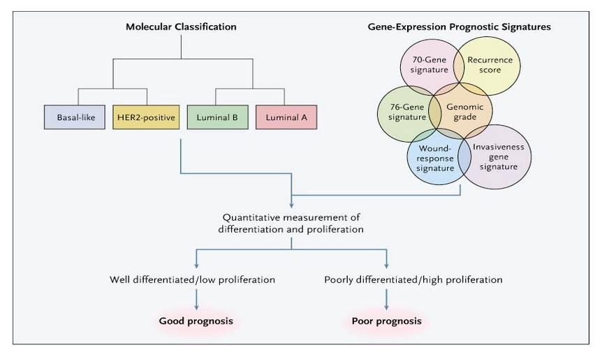 Molecular Classification, Gene-Expression Signatures, and