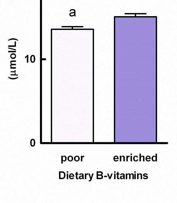 choline B vitamins dose-dependently increase DHA