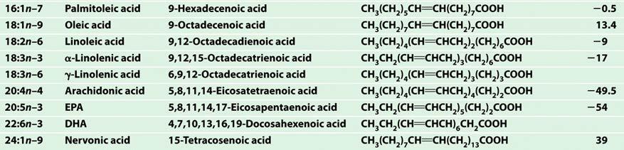 Fatty Acids Unsaturated single bonds all the way down the chain Chain length : number of double bonds - position