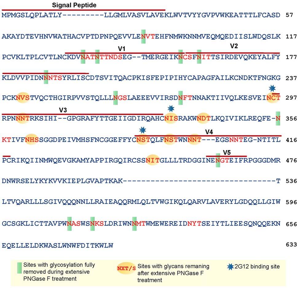 Figure 7. Glycan analysis of native partially deglycosylated JRFL gp140 protein.