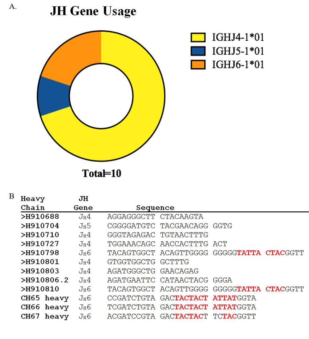 Figure 5: JH gene usage for influenza specific antibodies isolated from 155-10. (A) Antibody JH gene usage are differentiated based on colors.
