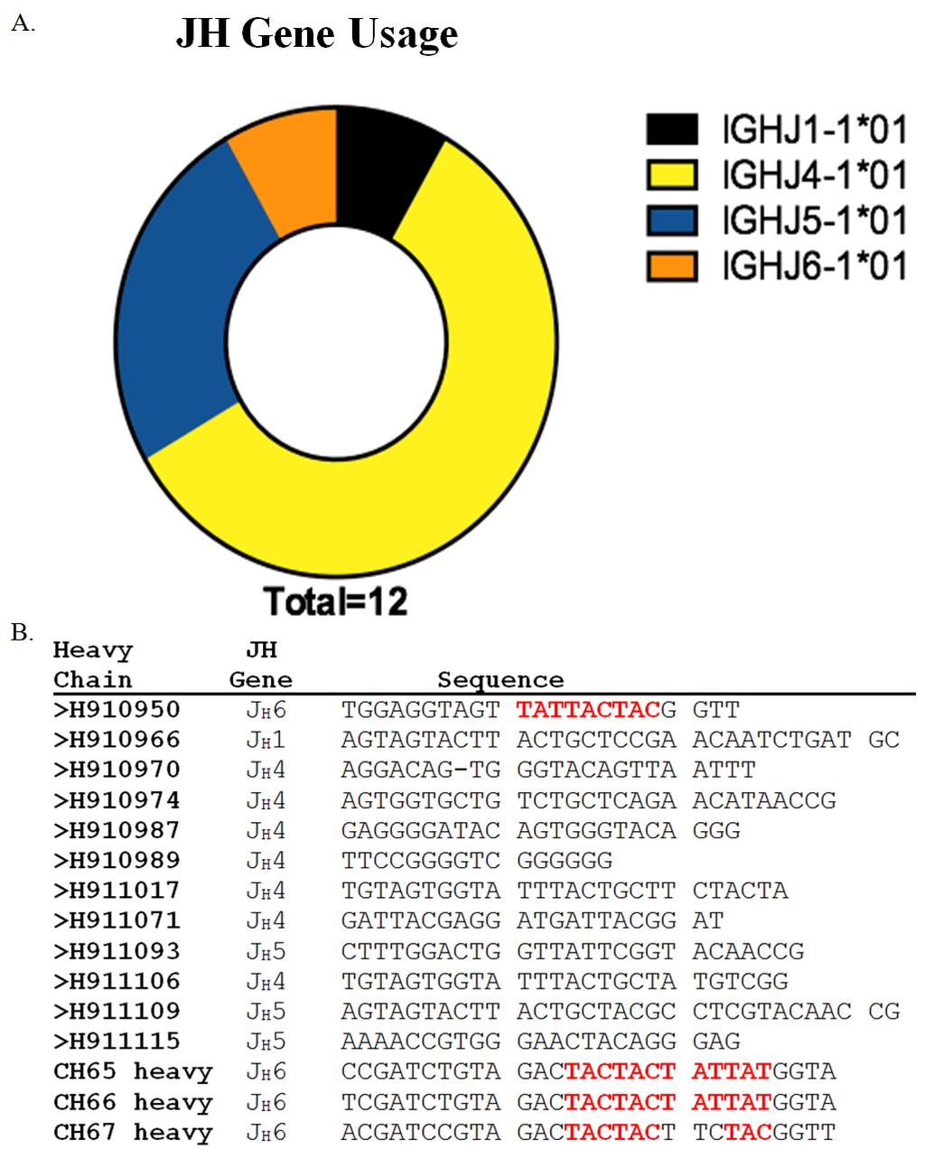 Figure 10: JH gene usage for influenza specific antibodies isolated from 144-05. (A) Antibody JH gene usage differentiated based on colors.