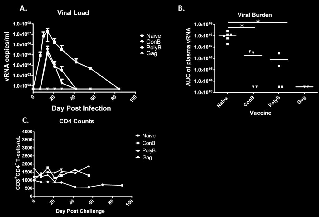 vaccination. (A) Viral loads are shown as the average +/- the SD for each group (Naïve N=6, ConB N=4, PolyB N=4, Gag N=2).