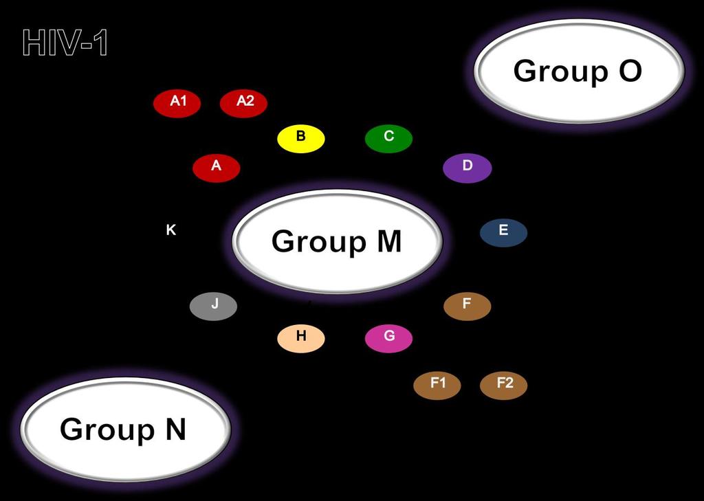 Figure 3 HIV-1 Nomenclature. HIV-1 is divided into three Groups: Main (M), Outlier (O) and Non-M/Non-O (N). Groups M, O, and N are shown as large ovals.