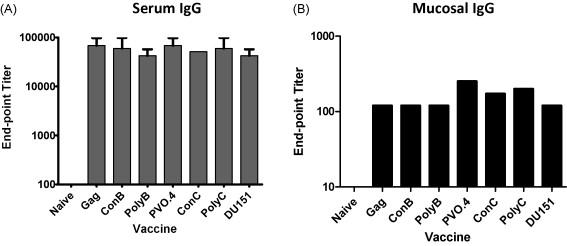 anti-vlp IgG antibodies were detected in the lung wash from all mice (Fig. 13B). Neutralizing antibodies were detected in the serum from all vaccinated groups (1:40-1:80).