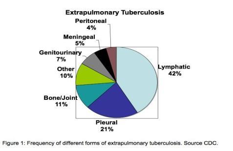 75% Pulmonary Disease 25% Extrapulmonary Latent TB Infection (LTBI) vs TB Disease (Active