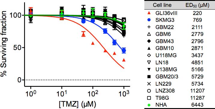 Supplementary Figure 10. Dose response of GBM cells when treated with TMZ. Human GBM cells were treated with varying doses of TMZ, and their viability was determined.