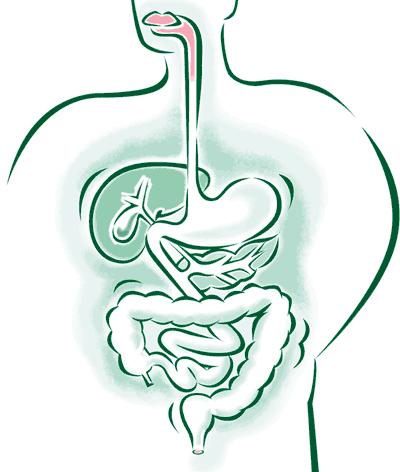 Understanding Digestion Digestion is the process that allows nutrients from your food to enter into your body and help you build and maintain all that you need to be healthy.