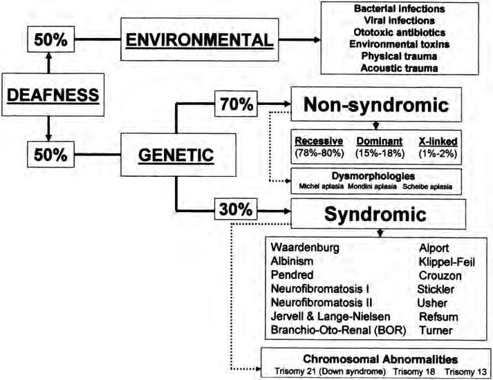 Chapter 23 Assessment of Hearing Loss in Children 547 FIGURE 23.1 The distribution of hearing loss etiology into genetic causes and environmental causes.