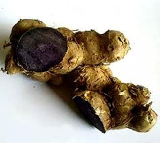 Black Ginger (Kaempferia parviflora) Ethnopharmacology Black Ginger or Black Galangal or Krachai Dum in Thai (Kaempferia parviflora) is an herbaceous plant belonging to the