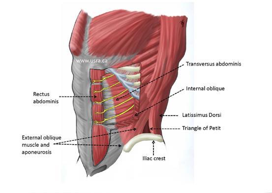 wall surgery Ostomy creation/closure Kidney transplant Suresh S, Chan VW,