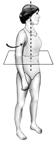 Figure 2 shows one plane and one axis of the human body. The plane is represented by the square. The axis is represented by the dotted line.
