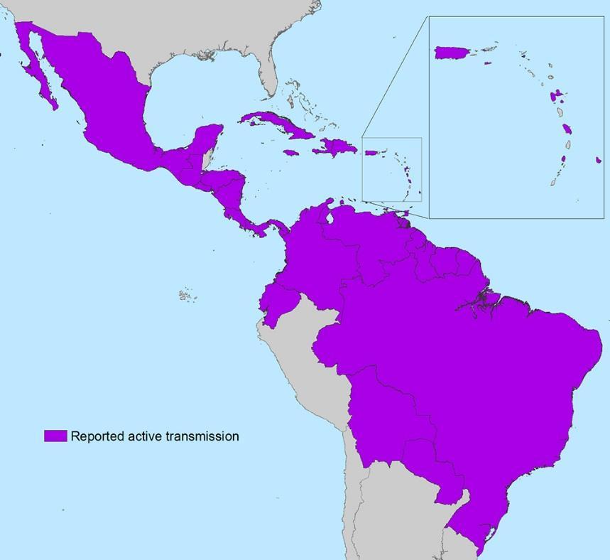 Zika Virus in the Americas In May 2015, the first locally-acquired cases in the Americas were reported in Brazil As of March 23, 2016, there are outbreaks in 39 countries or