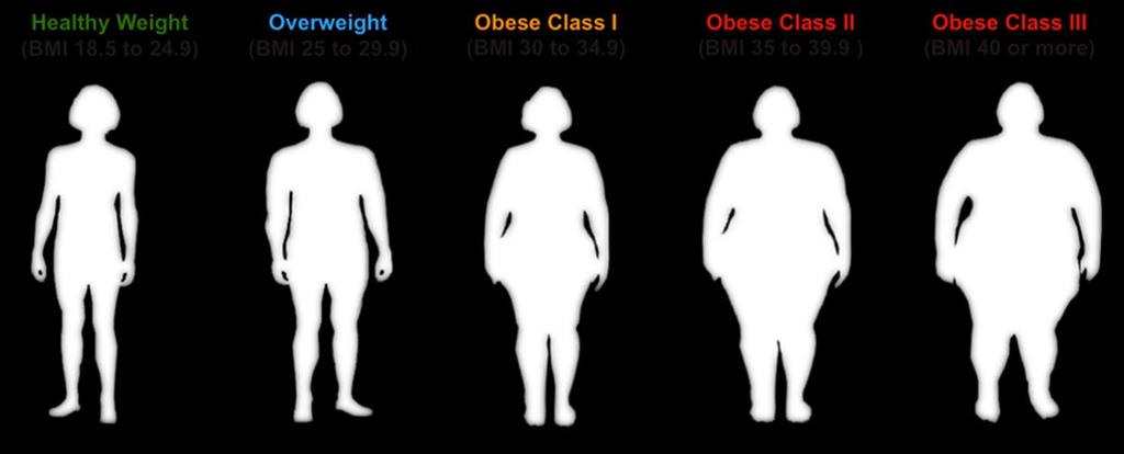 To work out your BMI: divide your weight in kilograms (kg) by your height in metres (m) then divide the answer by your height again to get your BMI For