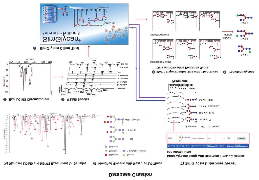 Figure 1: Schematic representation of glycan and glycopeptide data analysis workflow using SimGlycan SALIENT FEATURES 1.