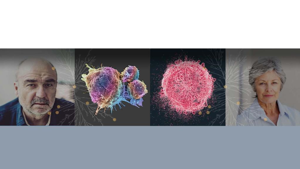 Addressing Key Mechanisms of Tumor Drug Resistance April 2018 Kinase