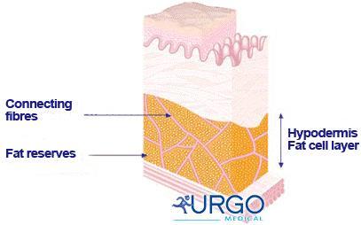 skin to underlying tissues/organs.