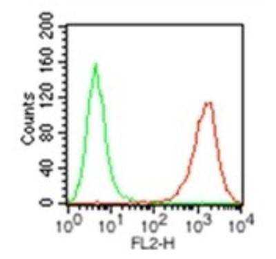 Flow (Cell Surface): HLA-DR Antibody (L243) [NB100-77855] - Analysis using the Azide Free version of NB100-77855. Staining of HLA-DR expression by 5x10^5 BDCM cells using 0.