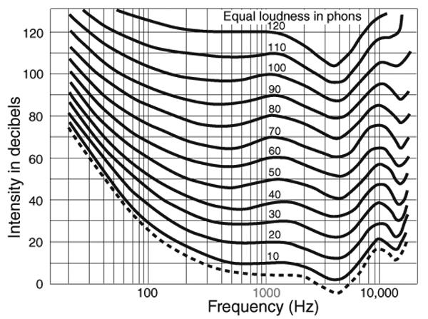 Hearing and Psychoacoustics with Lidia Lee 1 khz). Hence, above 1kHz, the neurons are simply unable to fire synchronously with the input signal.