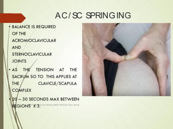 AC/SC SPRINGING BALANCE IS REQUIRED OF THE ACROMIOCLAVICULAR AND STERNOCLAVICULAR JOINTS AS THE TENSION AT THE SACRUM SO TO THIS APPLIES AT THE CLAVICLE/SCAPULA