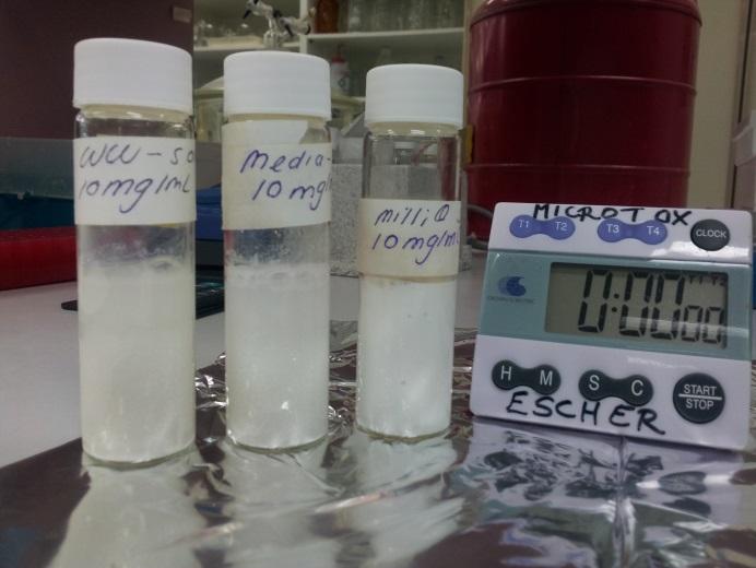 TiO 2 in ultrapure water appeared to be the most stable, but TiO 2 rapidly sedimented