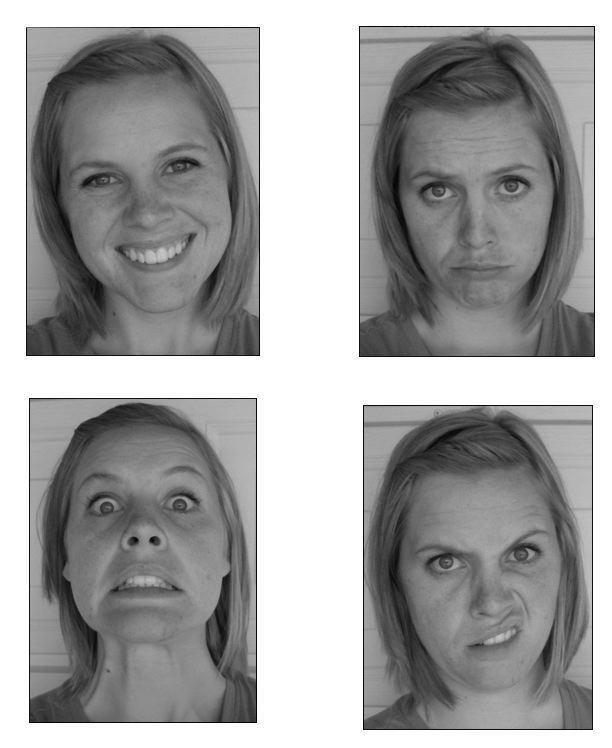 Figure 8: Facial Expression Identification