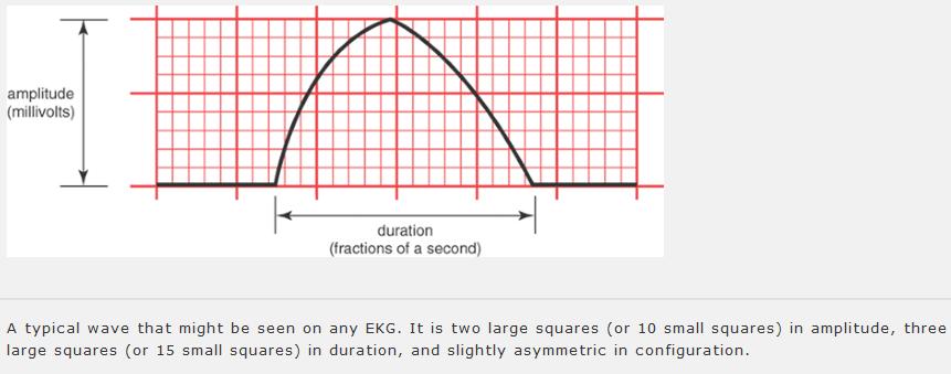 EKG grid The wave on EKG primarily reflect the electrical activity of