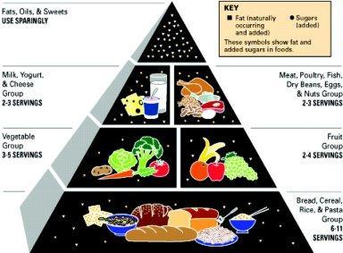 Food Pyramid First Food