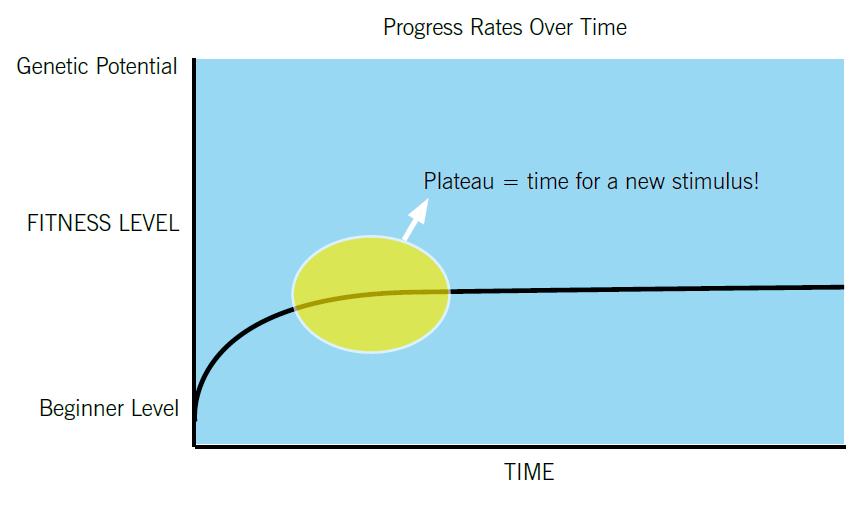Principles of progression To avoid a slowing or decrease in