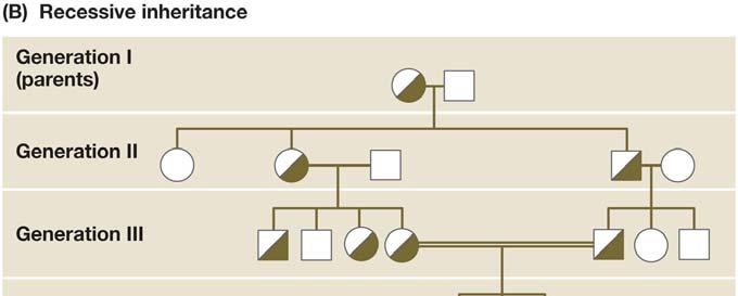 Pattern of inheritance if the rare allele is recessive: