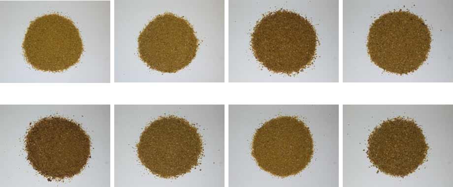 Samples of Golden Corn DDGS from Various Midwestern U.S. Ethanol Plants VeraSun - Aurora, SD CVEC - Benson, MN