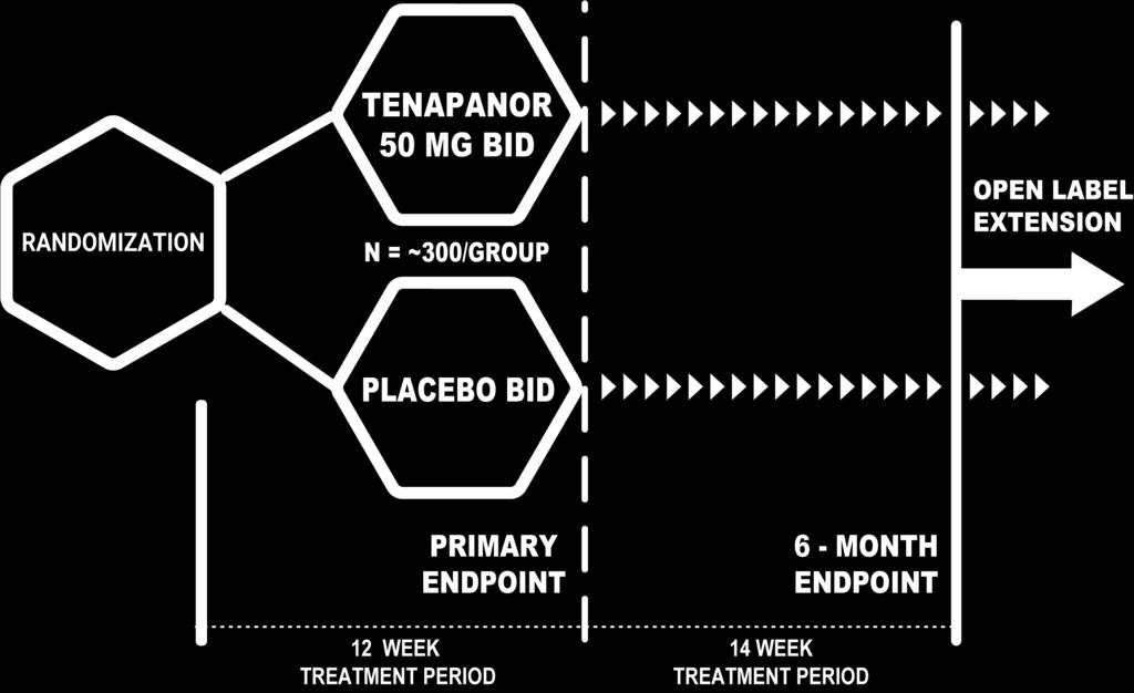T3MPO-2: STUDY DESIGN T3MPO-2: 6-MONTH TENAPANOR IBS-C PHASE 3 TRIAL Same inclusion/exclusion criteria as T3MPO-1 and Phase 2b Same 12-week treatment period primary