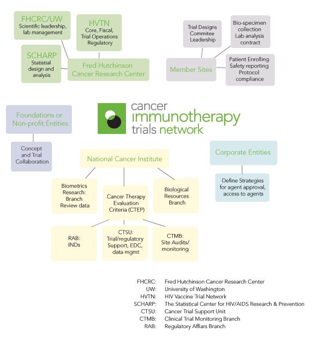 Cancer Immunotherapy Trials Network