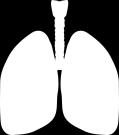 Placenta Lungs, Colon,