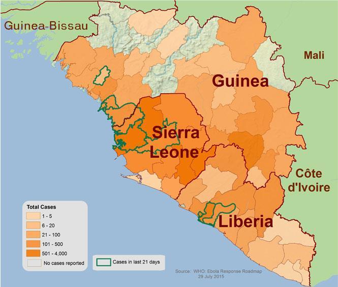 Current West Africa Outbreak Began in Southwest Guinea in March 2014 Declared a health emergency of international concern by the WHO in August 2014 Zaire Ebolavirus -