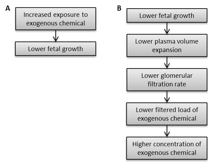 Figure 1. A flow diagram outlining two potential hypotheses for the relationship between exogenous chemicals and fetal growth.