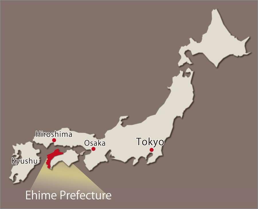 Where is Ehime located in Japan?