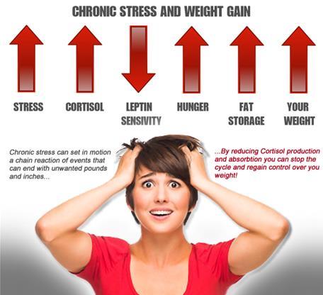Hormonal Influences Stress!
